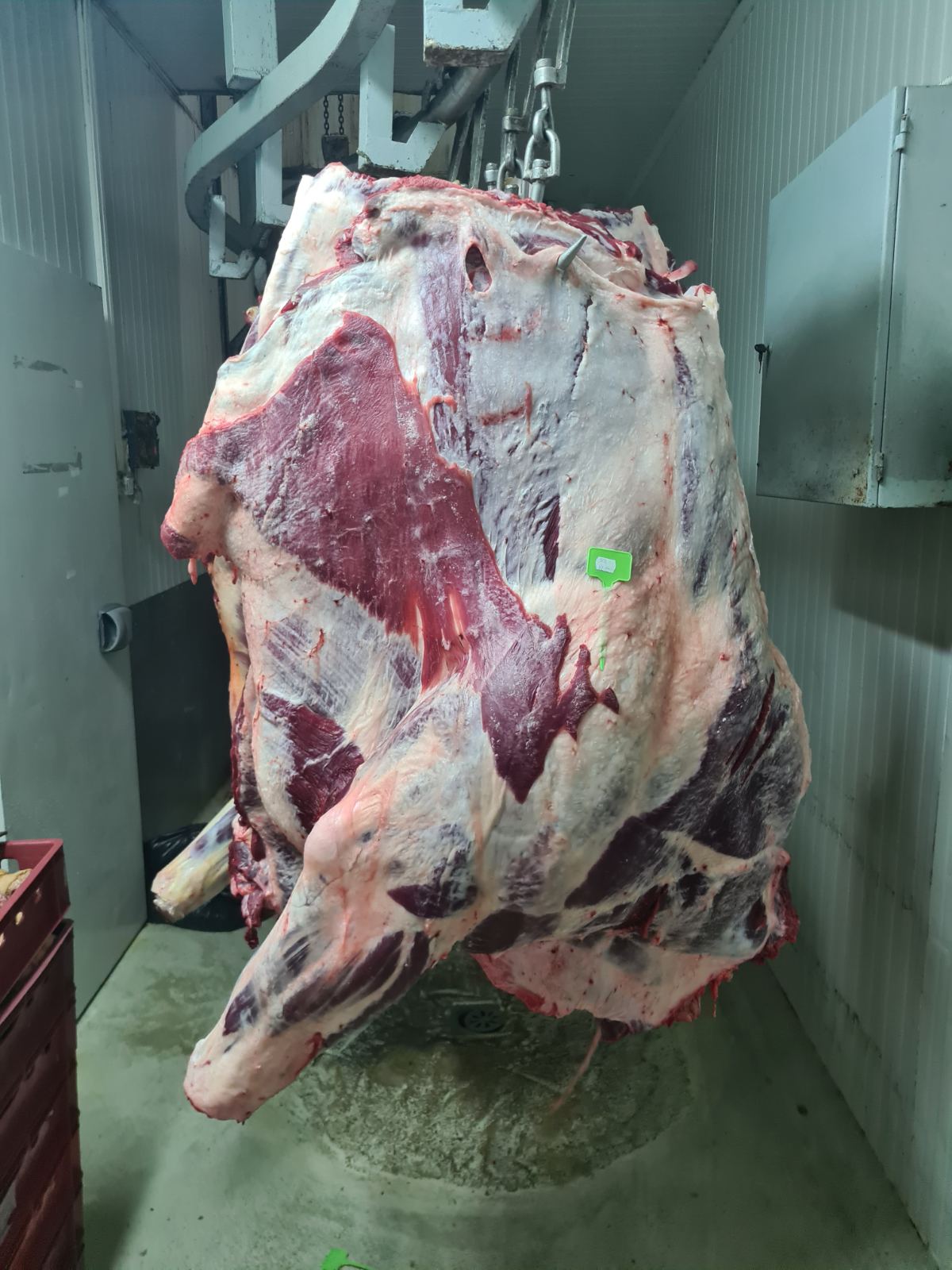 Говеждо - трупно