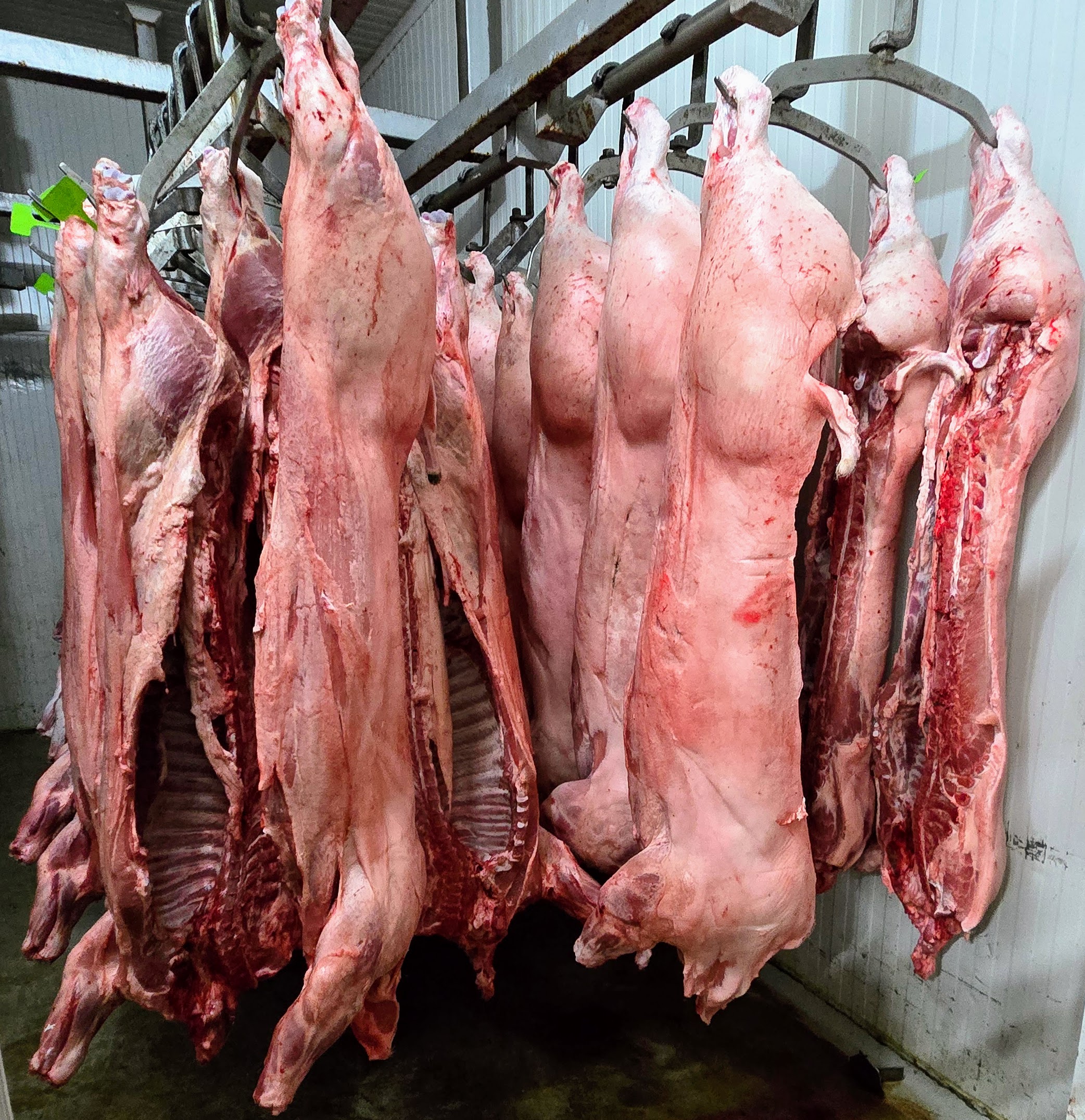 Свинско - трупно, драно