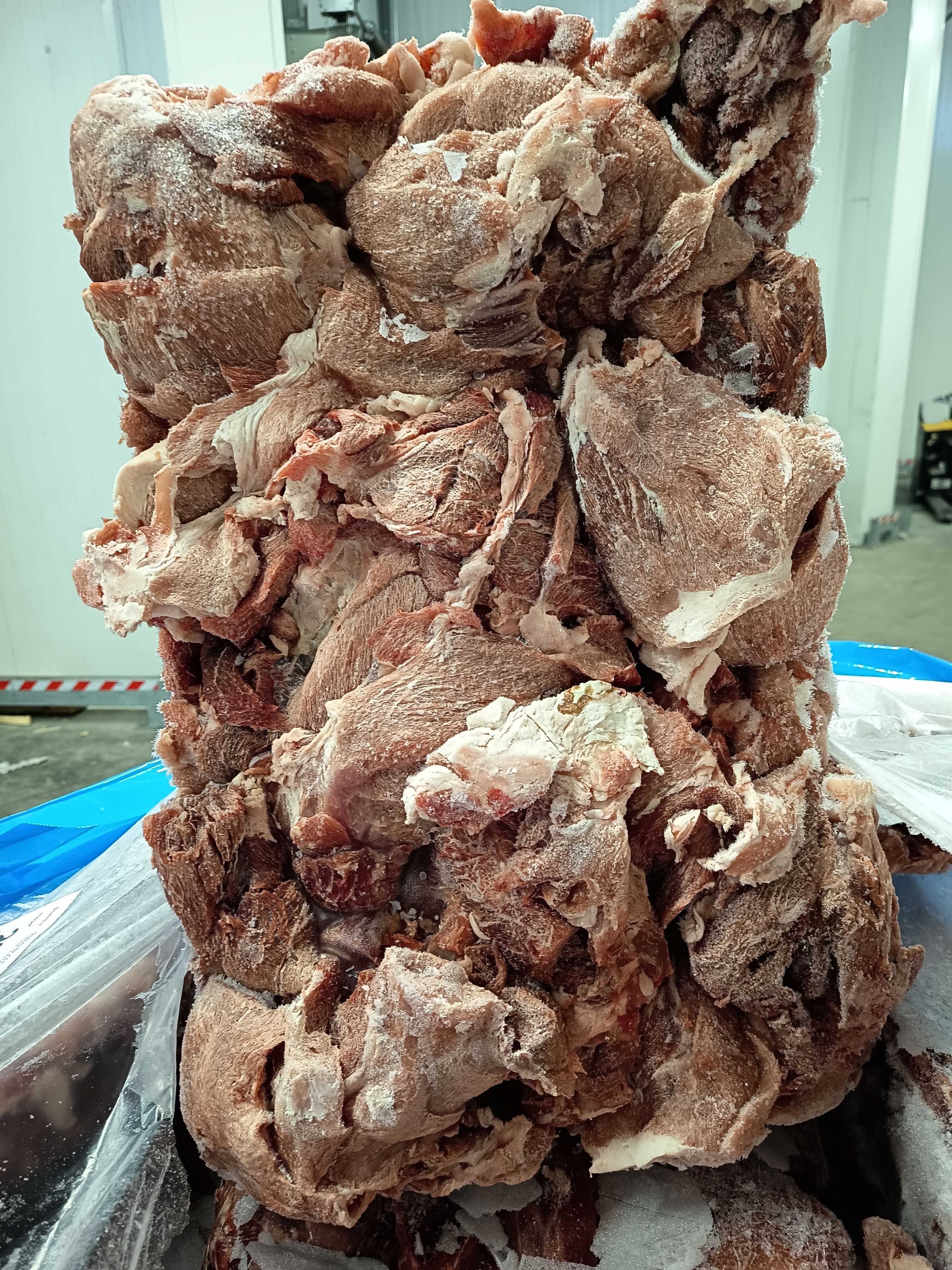 Свински Джолан