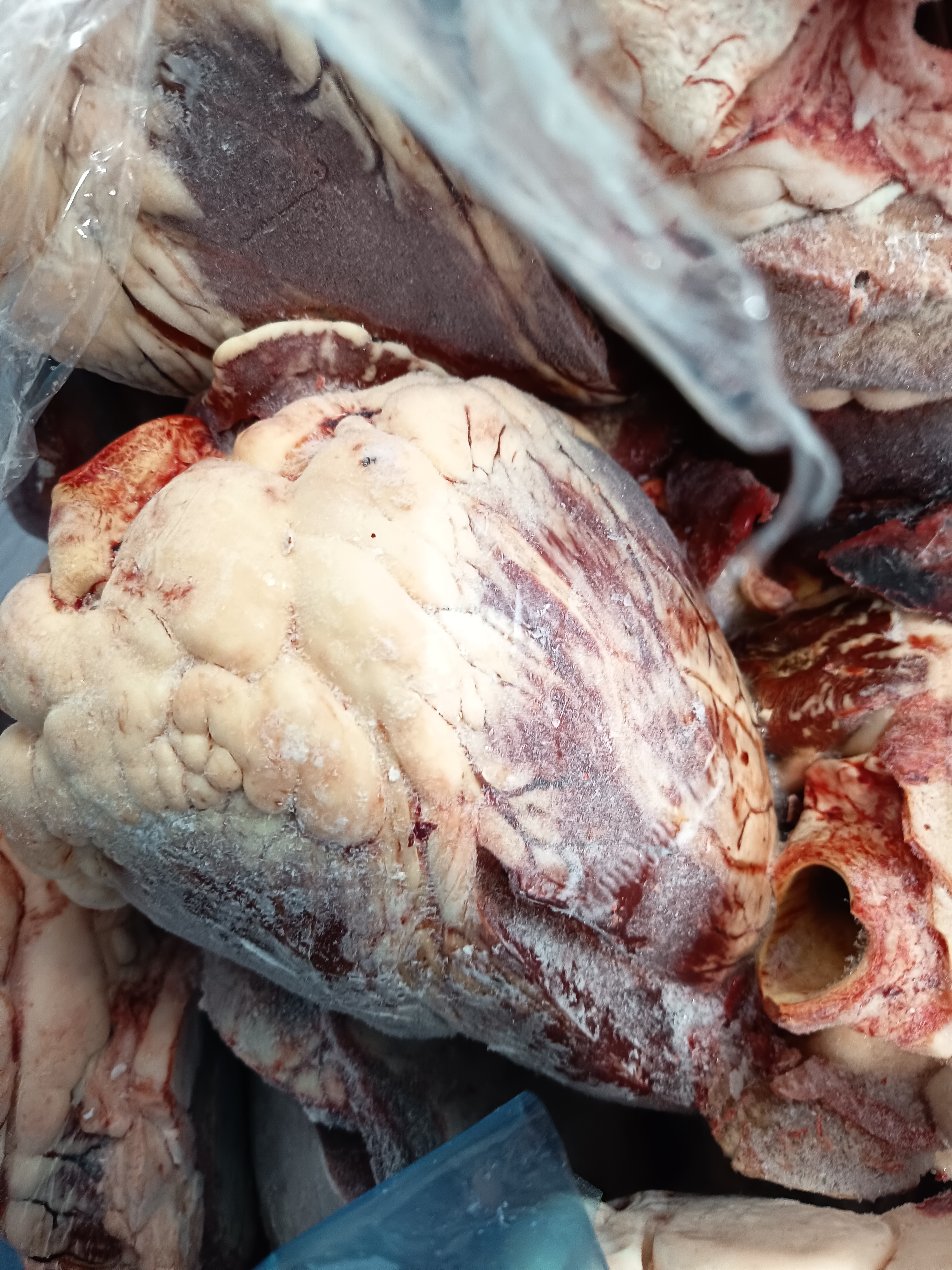 Говежди сърца